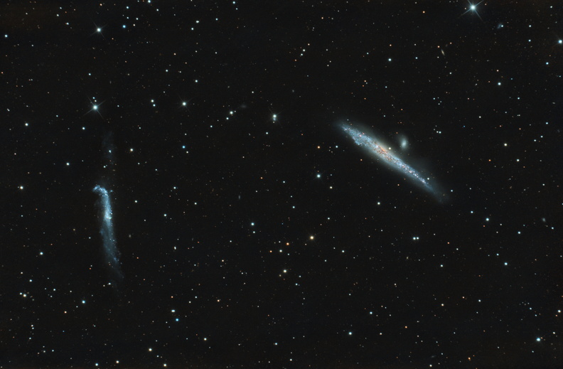 NGC4631 NGC4656.jpg