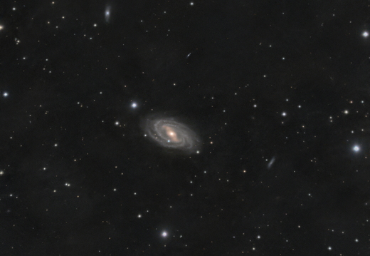 m109