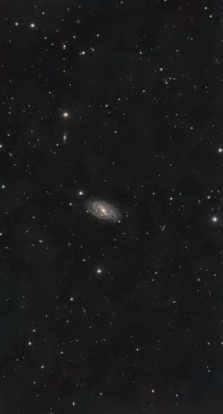 m109.jpg