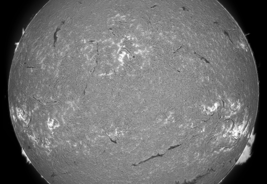 07-20240608-Sonne-Ha