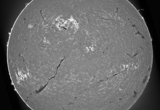 05-20240530-Sonne-Ha