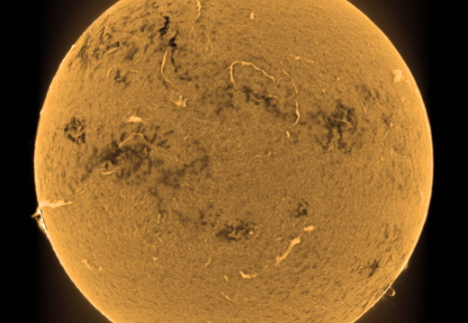 20240514-Sonn-Ha Color