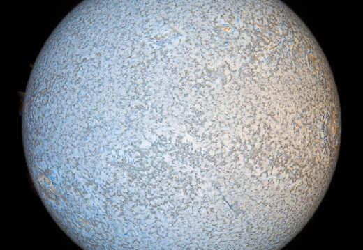 20240501-Sonne Doppler+-0.596A