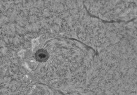 20241105-06-Sonne-Ha