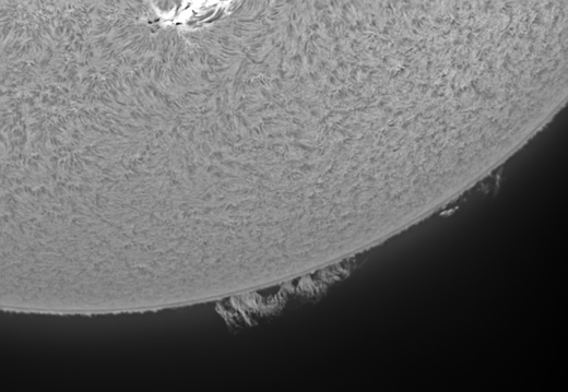 20240825-Sonne-Ha-02