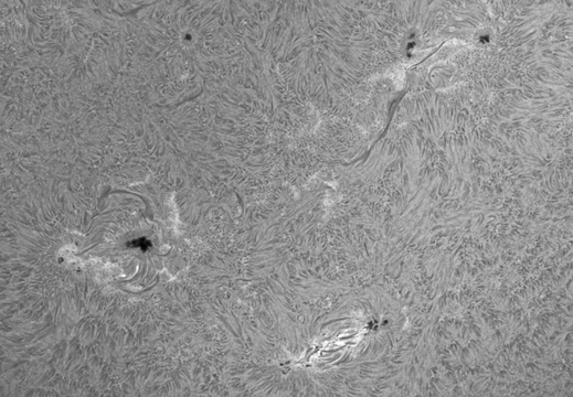 20240825-Sonne-Ha-04