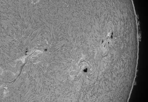 20240825-Sonne-Ha-05