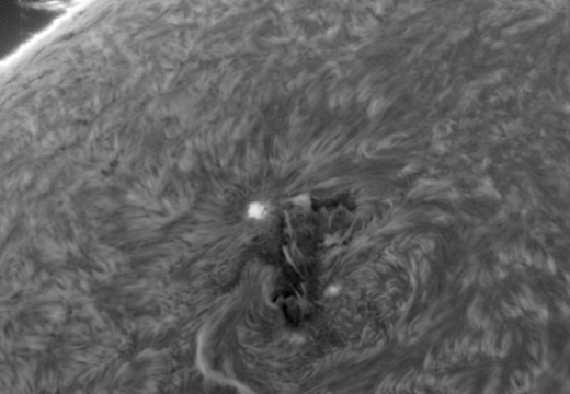 20250812-Sonne-Double-HC