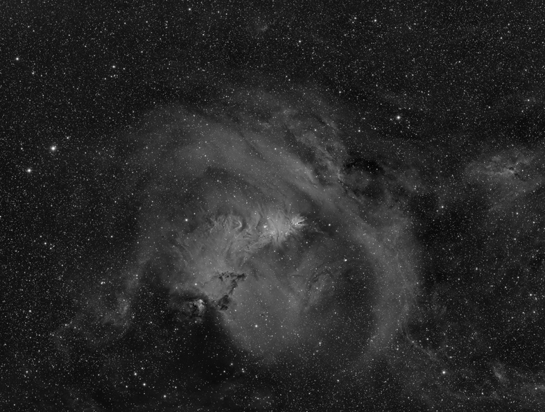 NGC2264.jpg