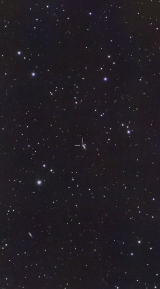 NGC4205-SN2026fvx.jpg
