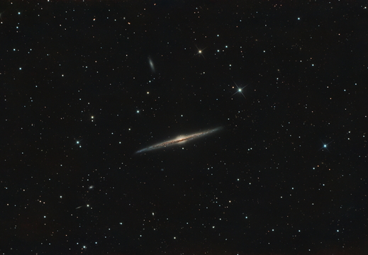 NGC4565