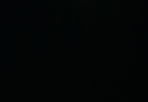 IMG 1256