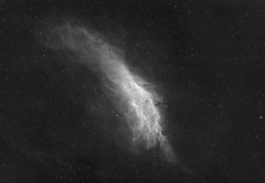 NGC1499