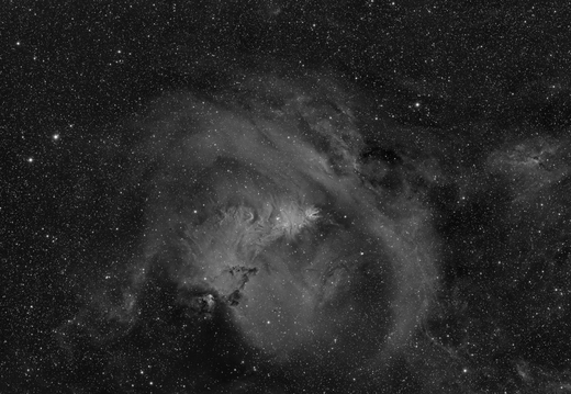 NGC2264