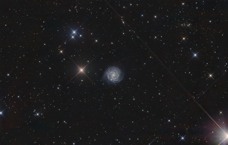 NGC3184.jpg
